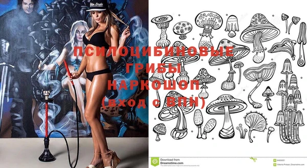 гашик Покачи