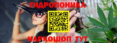 спиды Братск