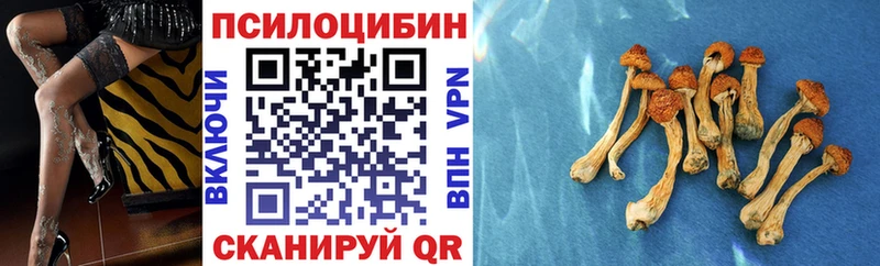 Галлюциногенные грибы мицелий  blacksprut ТОР  Североморск 