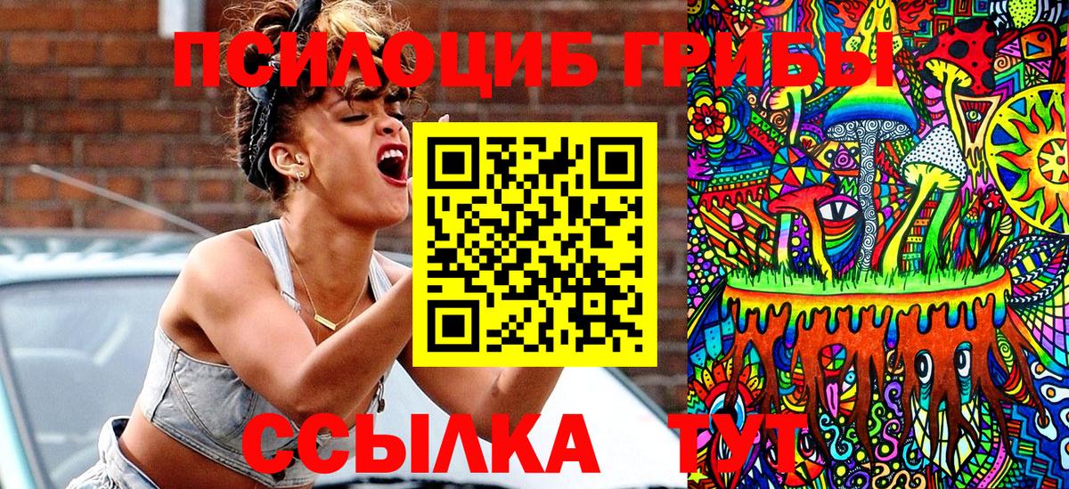 Североморск  где купить наркотик  Вход с VPN  Галлюциногенные грибы прущие грибы 